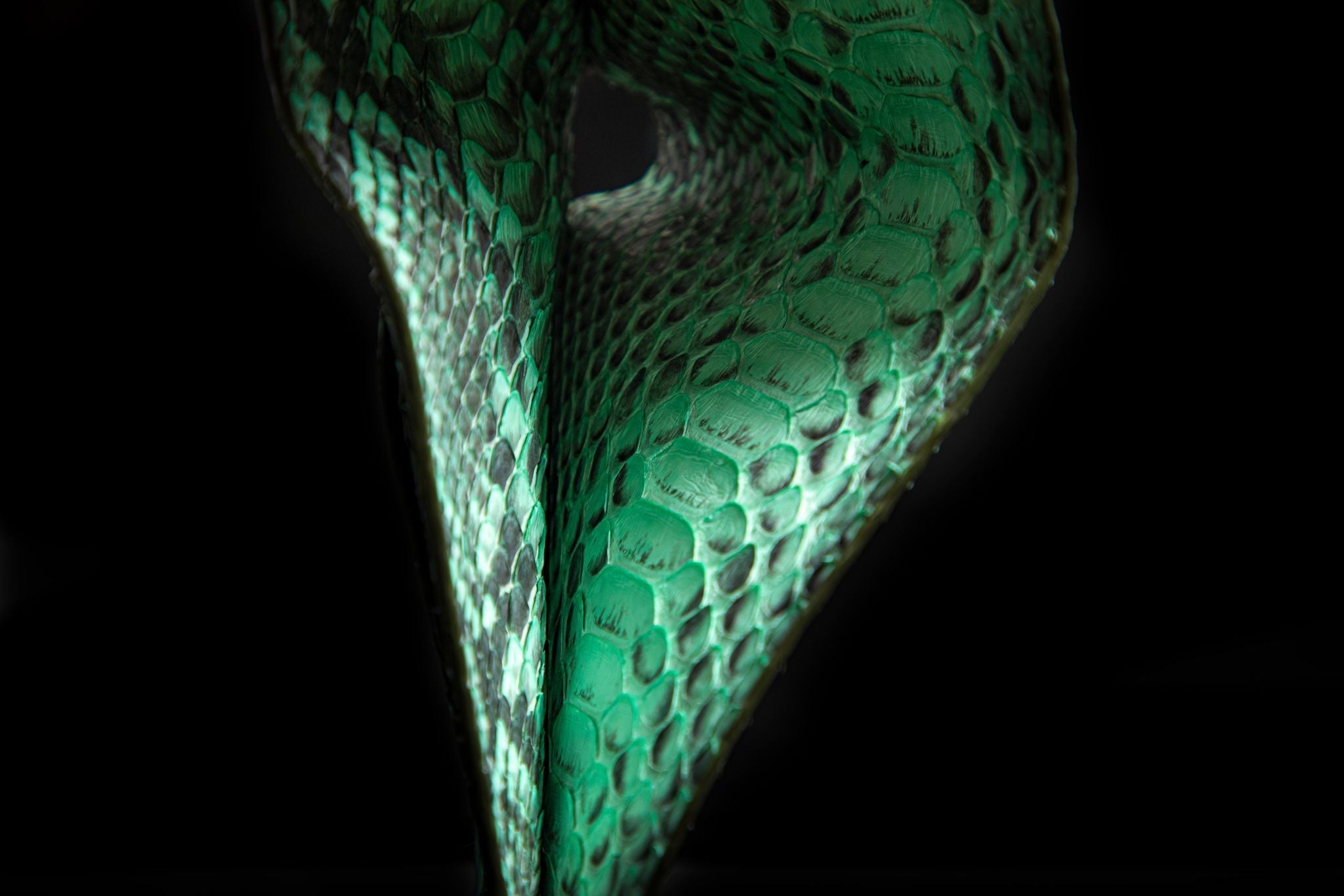 GREEN PYTHON LEATHER WALLET